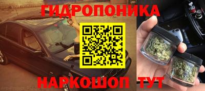 мет Можга