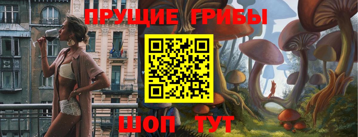 Псилоцибиновые грибы GOLDEN TEACHER Верхняя Пышма