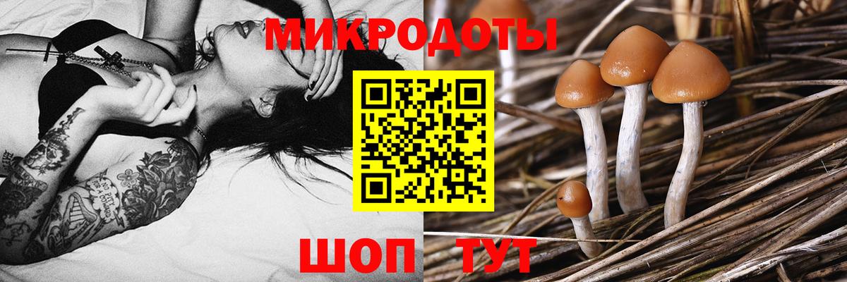 цена наркотик  Галлюциногенные грибы ЛСД  Вход с VPN  Псилоцибиновые грибы Psilocybine cubensis  Верхняя Пышма 